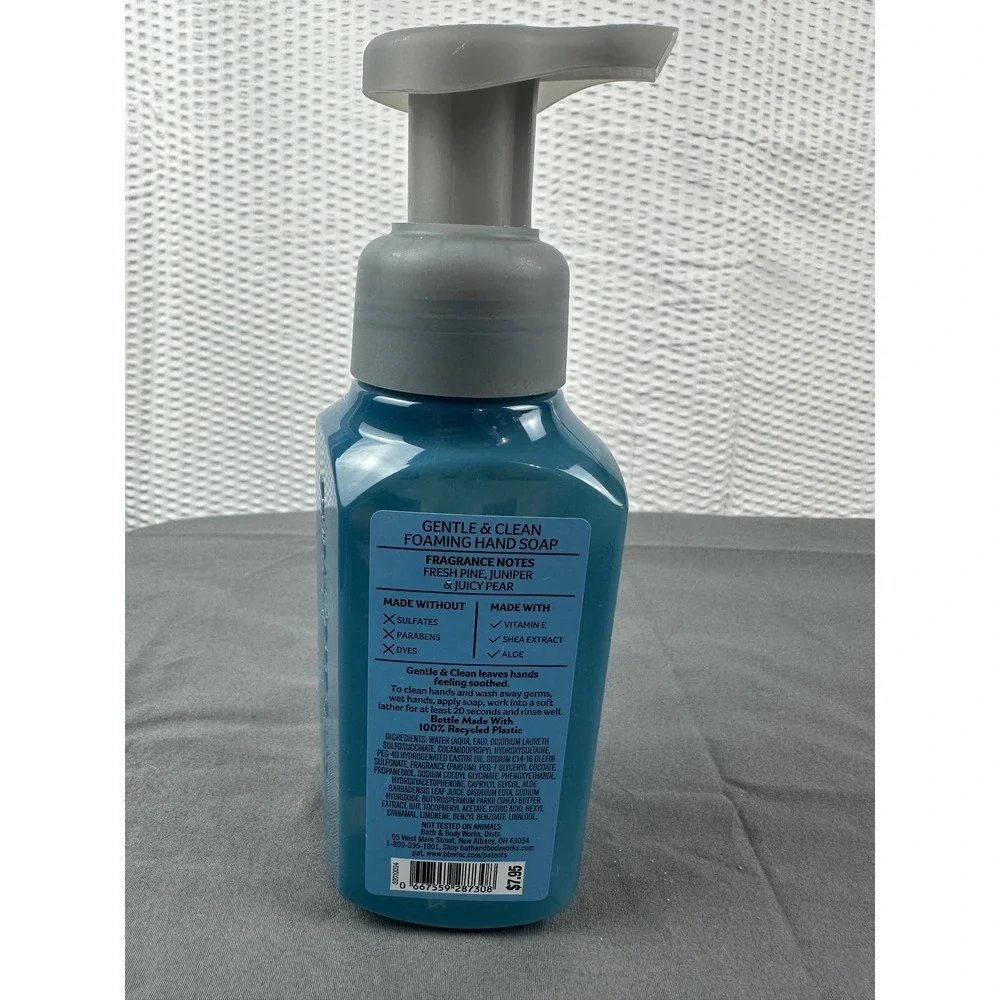 Bath & Body Works Crisp Morning Air Gentle Foaming Hand Soap 8.75 oz